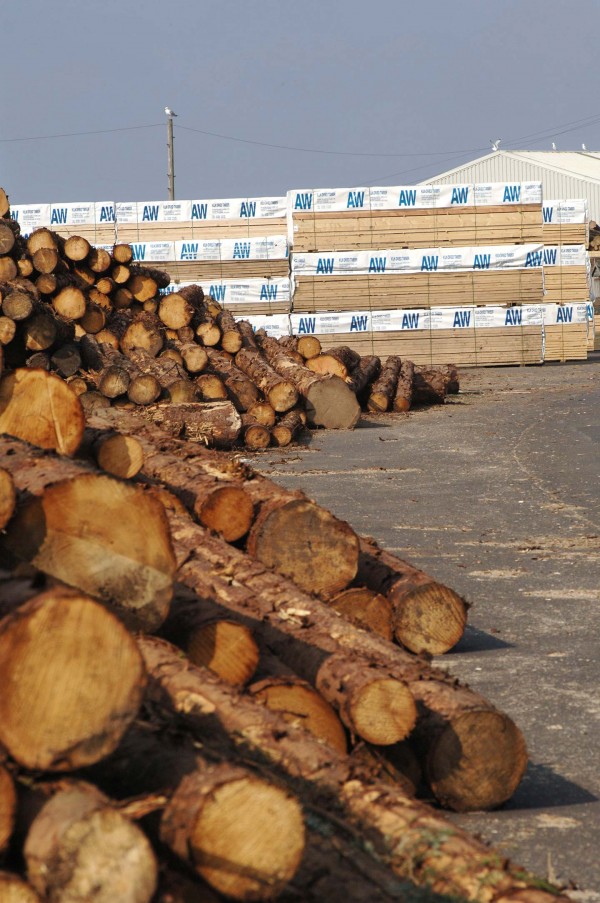 Lumber yard image